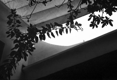 Les toiles 3
Damas - Restaurant Elissar - Pentax MX - SMC 50/1.7 -  APX 100 Rodinal
Mots-clés: Syrie - Abstrait - Graphisme
