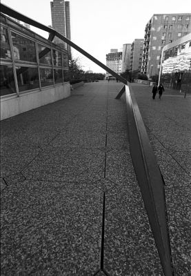 DD3
Défense en Décembre 2008.

Pentax MX - Flekotgon 20 - Tricx à 200 dans de l'ID11
