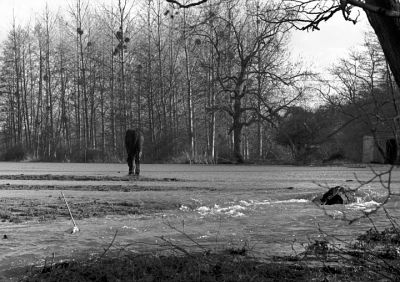 Chev'eau 2
Leica M6 - Elmar vissant 90/4 - Trix à 400
