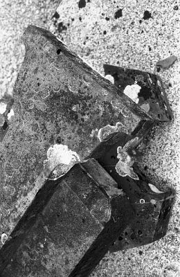 Mille feuilles
Cimetière de Sainte Marie du Mont

Pentax LX - 50/1.7 à 5.6 - Foma 400
Mots-clés: Cimetière