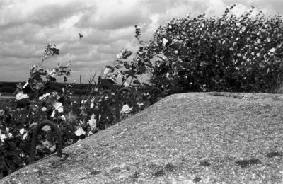 10
Blockaus à Utah Beach

Pentax LX - Foma 400 - 50/1.7
Mots-clés: Blockaus - Bunker - Débarquement - Normandie
