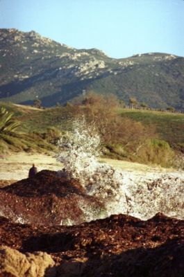 Algues 7
Plage de Capo di Fenu, près d'Ajaccio, en Janvier 2007.

Pentax Me Super, 50mm Pentax M f1.7, Solaris 100iso. 
Mots-clés: Vagues - Corse