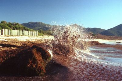 Algues 4
Plage de Capo di Fenu, près d'Ajaccio, en Janvier 2007.

Pentax Me Super, 50mm Pentax M f1.7, Solaris 100iso. 
Mots-clés: Vagues - Corse