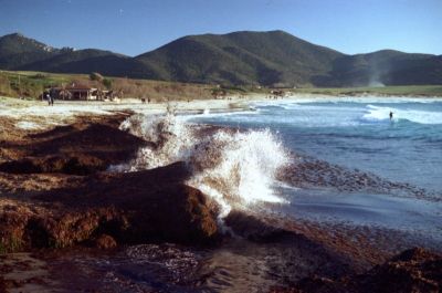 Algues 2
Plage de Capo di Fenu, près d'Ajaccio, en Janvier 2007.

Pentax Me Super, 50mm Pentax M f1.7, Solaris 100iso. 
Mots-clés: Vagues - Corse