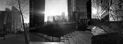 Tritptyqe totol
Pentax MX - Flektogon 20 - trix à 200
