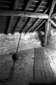 image009~4.jpg