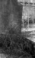 image019~0.jpg