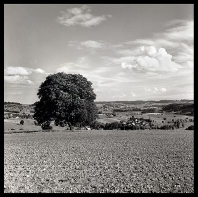 Romont
Une image prise entre Fribourg et Lausanne, à l'arrière-plan on peut distinguer la petite ville de Romont.

Hasselblad - planar 80 - filtre jaune - acros 100 - D76 1+1
Mots-clés: Romont Suisse Hasselblad 