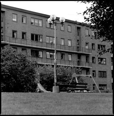 img458.jpg