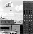 img417.jpg