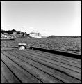 img439bat.jpg