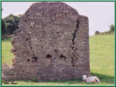 Oh la vache!
quelque part en Normandie
