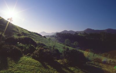 El corberu-Asturias-Espagne
Petit matin du moi de mai aux pieds des picos de europa.
Pentax mz50-sigma 17-35mm-Provia 100F
