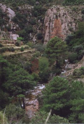 "moulin ?  l'entrée des Calanche de Piana"
Piana/Corse/FujicaST605N/reala100
