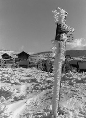 Première neige sur le Vercors, novembre 2009
La station de Font d'Urle, il a neigé avec du vent! Canon AL1 35mm f2,8
