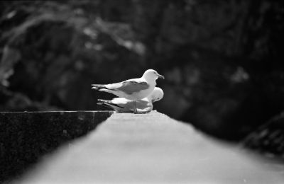 Sans_titre-Numérisation-69.jpg