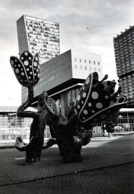 Les fleurs de Lille
