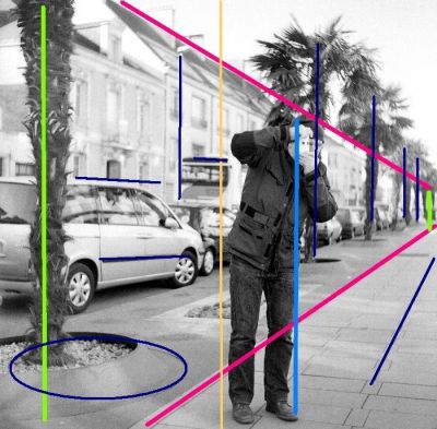 Lignes2force2.JPG