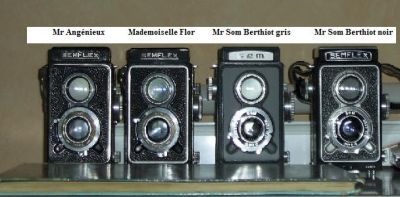 collection_Sem.JPG