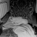 Rollei12.jpg