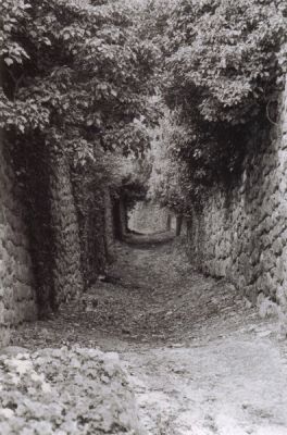 Chemin
Dans l'Ardèche verte
