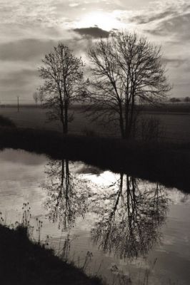 2arbres
