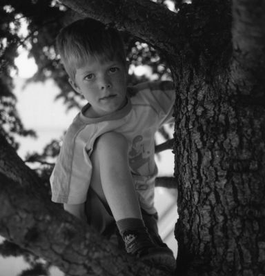 dans mon arbre
Rolleiflex 3.5, rollei retro 100
