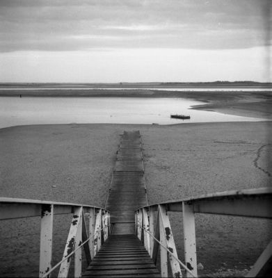 Basses eaux
Lubitel 166, hp5+. Lac du Der, Champagne-Ardenne
