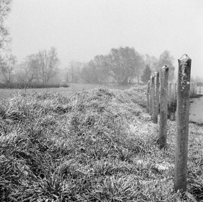 ilneige3.jpg