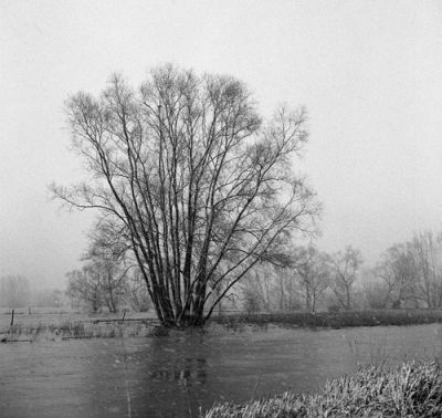 ilneige4.jpg