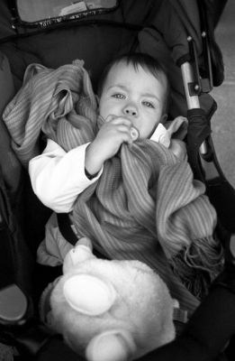 img555.jpg