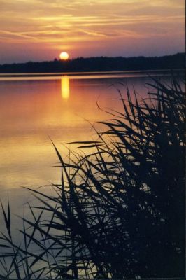 Coucher de soleil au lac du Der
