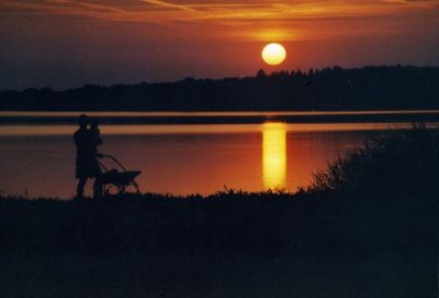 Promenade au lac du Der
