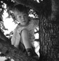 Dans_mon_arbre2.jpg