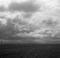 img402.jpg