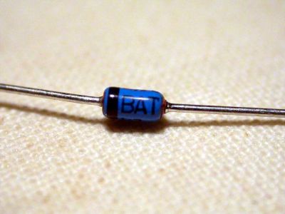 bat41.JPG