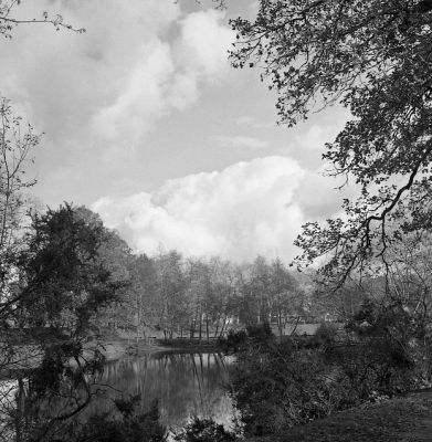 étang du bois de boulogne (dax)
