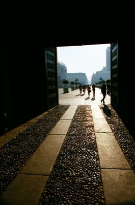 38750011.jpg