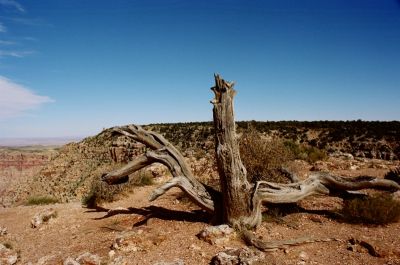 Grand Canyon 2
