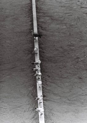 Crue de la Seine, février 2018
