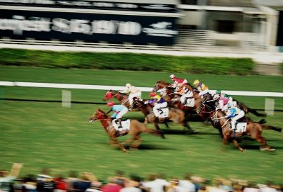 Courses à Hong Kong (2)
