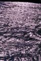 R001-004~0.jpg