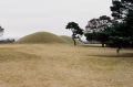 arbre_tumulus.jpg