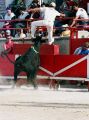 Nom du fichier=course_camarguaise.jpg
Taille du fichier=169Ko
Dimensions : 596x800
Ajouté le : 23 Juin 2015 course_camarguaise.jpg