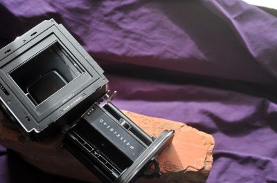Blad16_003.JPG