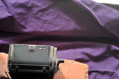 Blad16_004.JPG