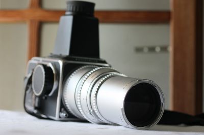 Blad250_002.JPG
