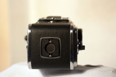 Blad5_005.JPG