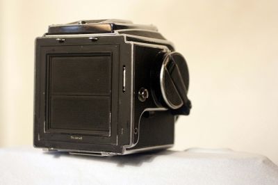 Blad5_006.JPG