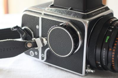 Blad80_003.JPG